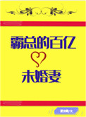 霸道总裁的百亿未婚妻 小说封面