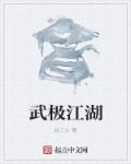 武極江湖小說封面
