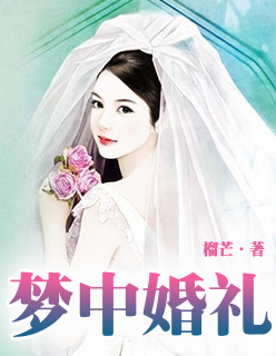 夢中婚禮小說封面