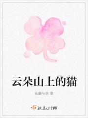 云朵山上的猫