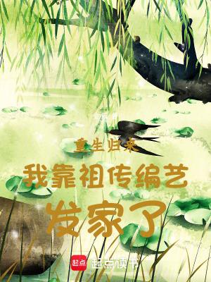 重生归来我靠祖传编艺发家了 重生归来我靠祖传编艺发家了