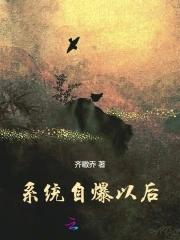 系统自爆以后 系统自爆以后