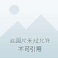 我在游戏里制造龙神号